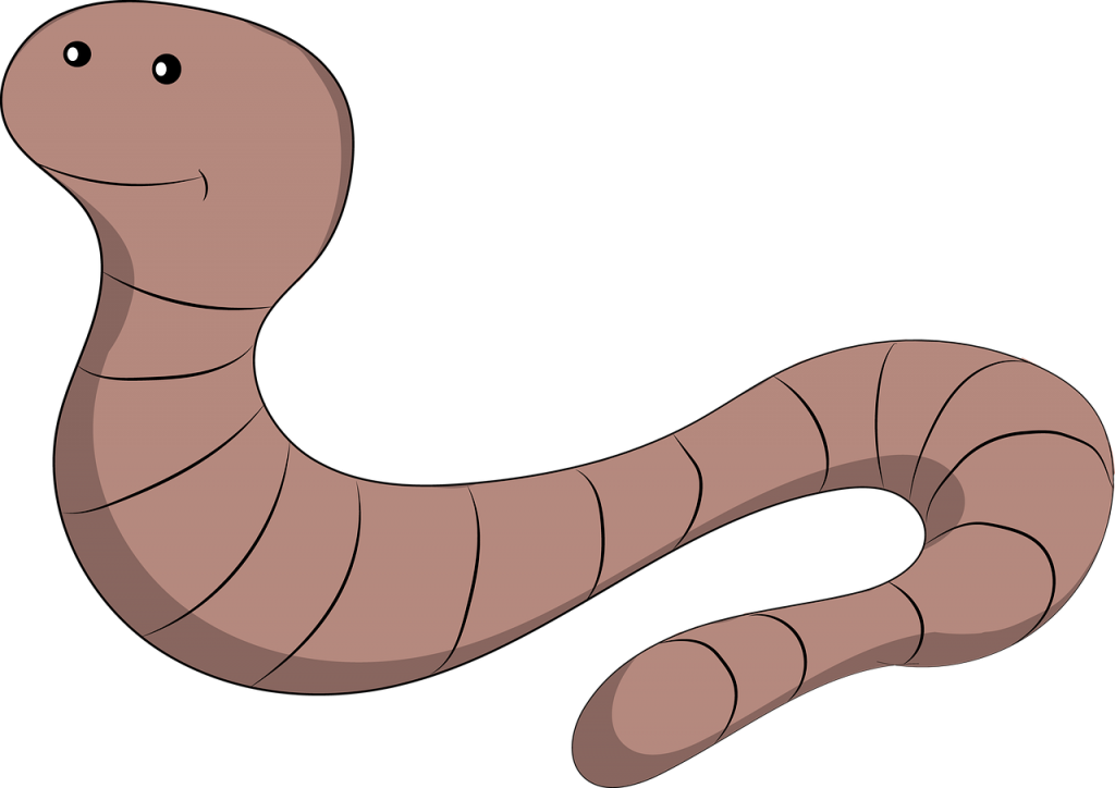 Wurm